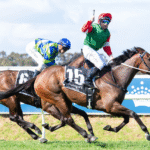 How Hoof Care Influences Safety