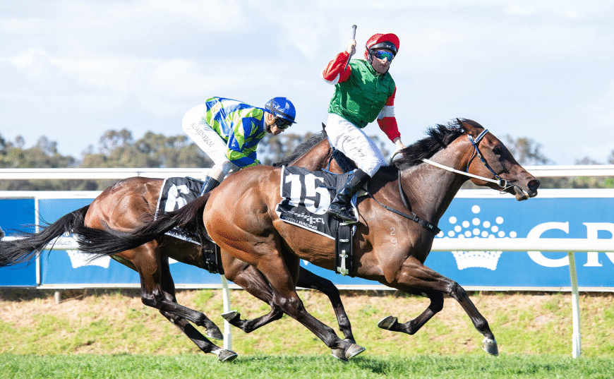 How Hoof Care Influences Safety