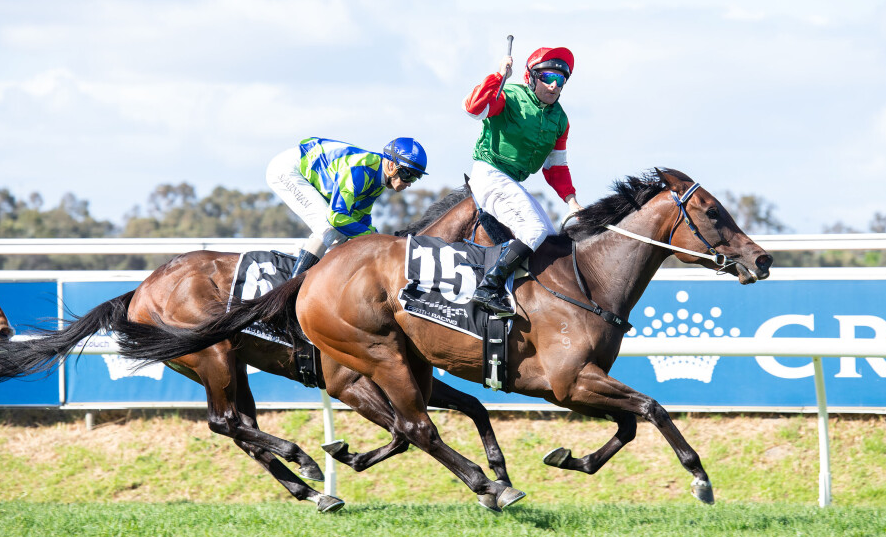 How Hoof Care Influences Safety