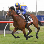 How Genetics Shape Racehorse Ability