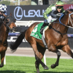 How Horse Ownership Syndicates Work