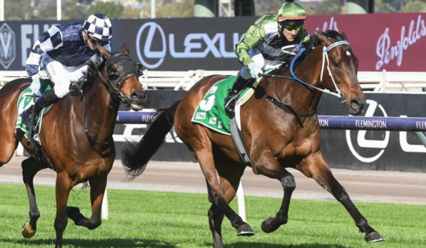 How Horse Ownership Syndicates Work