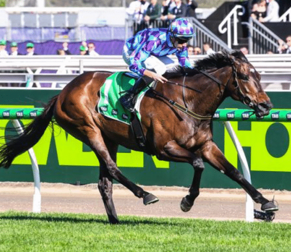 How Horse Racing Became the “sport of Kings