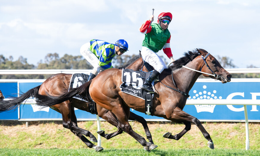 How Horse Racing Impacts Local Communities