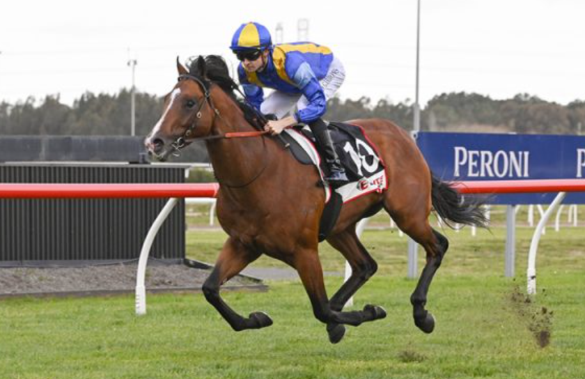 How Genetics Shape Racehorse Ability