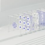 neural node apex beam