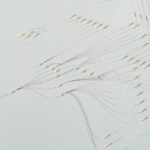 nova flow 911979364 network impact