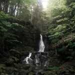 nova stream model vision indicator