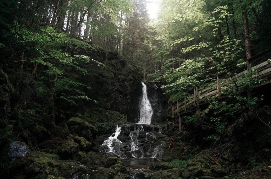 nova stream model vision indicator