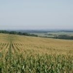 xpert horizon relevant product name